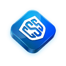 CSS
